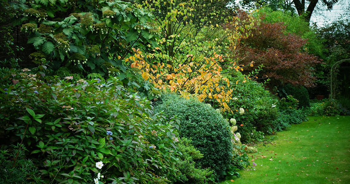 Détail du jardin