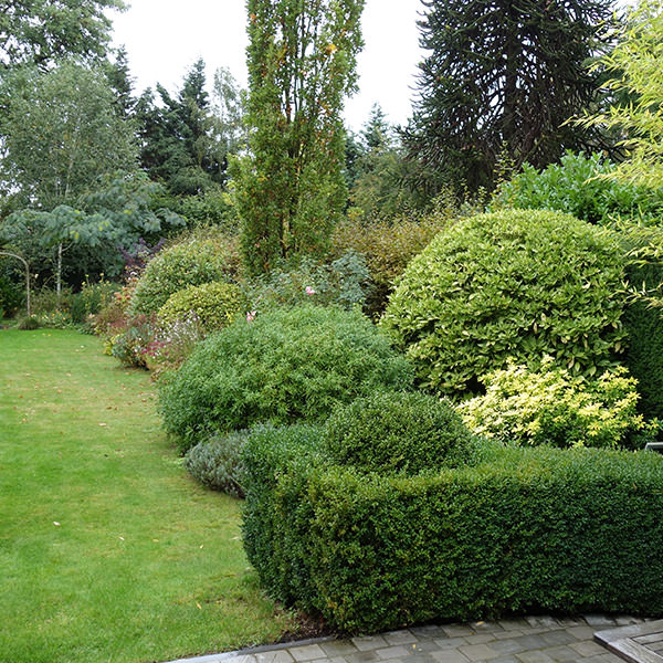 Garden detail