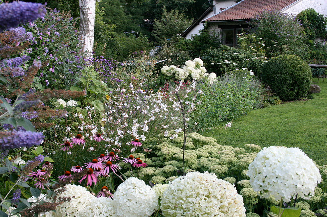 Garden detail