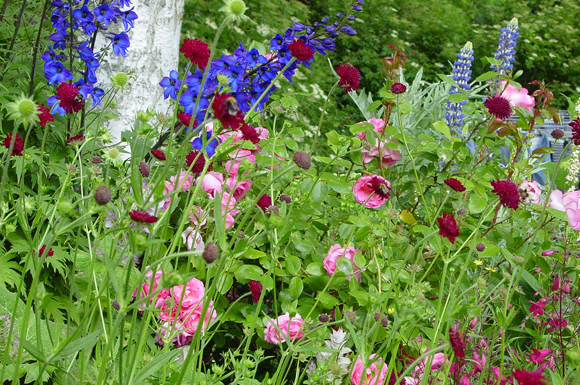 Garden detail