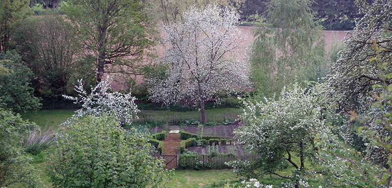 Garden detail