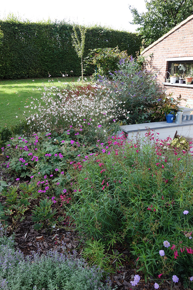 Garden detail