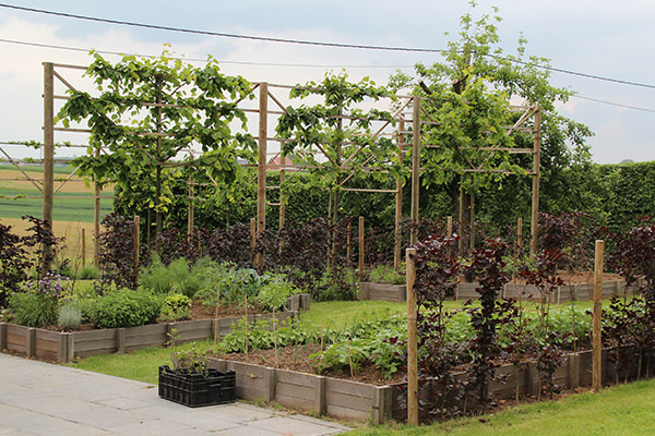 Détail du jardin